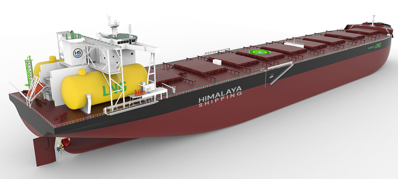 Himalaya Shipping Bulk Carrier model